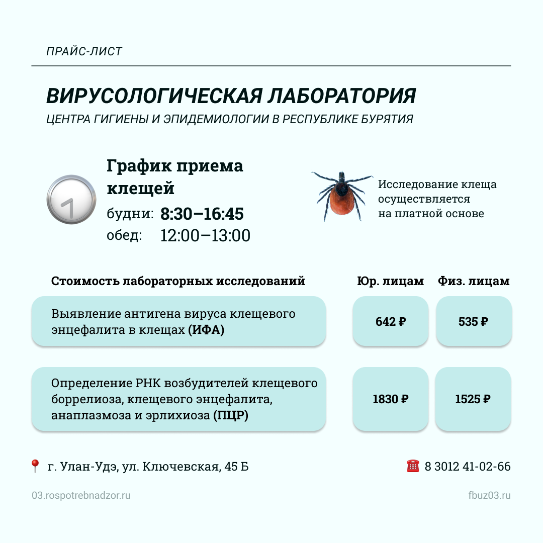 Исследуют клещей на наличие инфекций:.